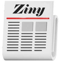 Ziny